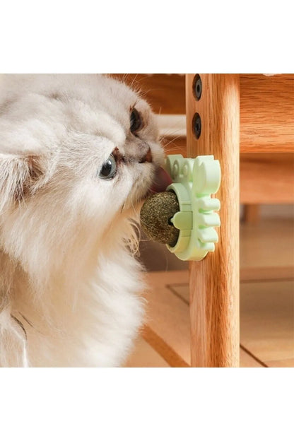 Blitzen Yengeç Şekilli Kedi Otu Oyun Topu, Kediniz İçin Eğlenceli Oyun Arkadaşı