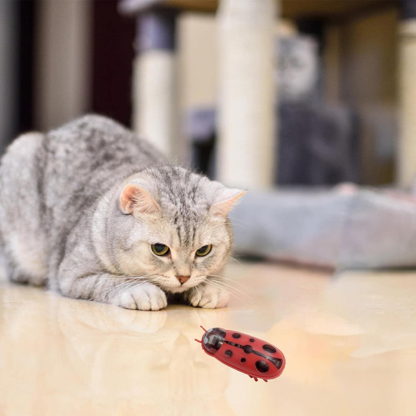 Blitzen Uğur Böceği Hareketli Kedi Oyuncağı, Otomatik Hareket Eden Uğur Böceği Şeklinde Kedi Oyuncağı